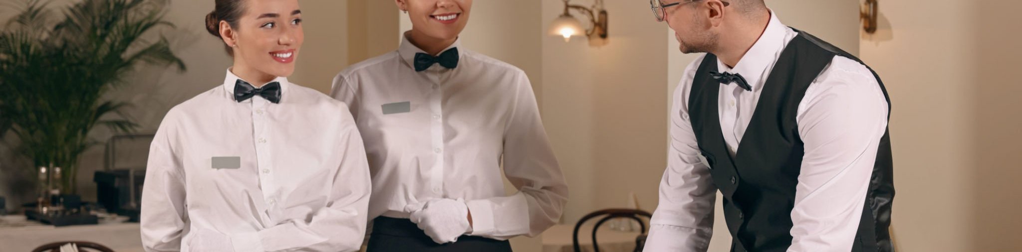 Εύρεση εργασίας με την CareerNow 117 Career Now